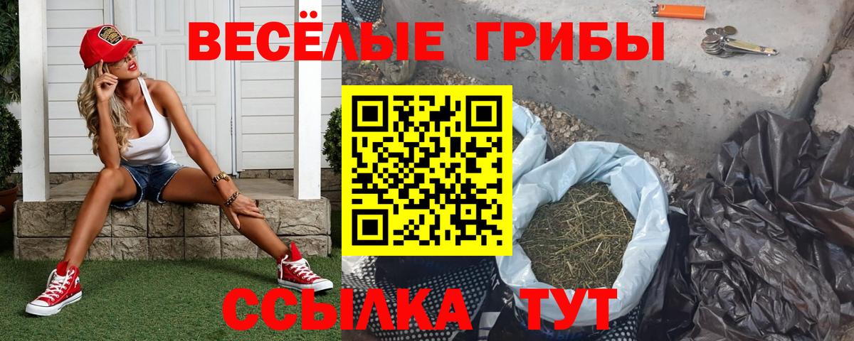 Куйбышев  Галлюциногенные грибы Psilocybine cubensis  Вход с VPN 