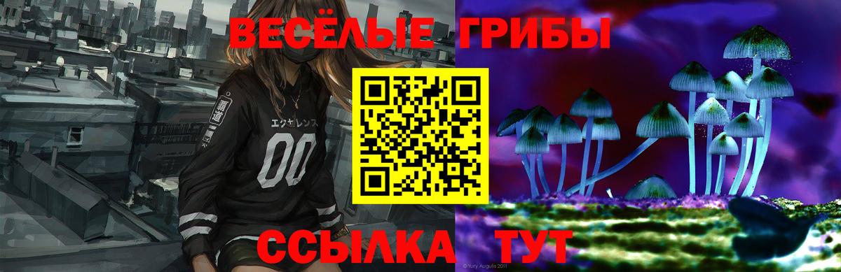 Псилоцибиновые грибы ЛСД Куйбышев